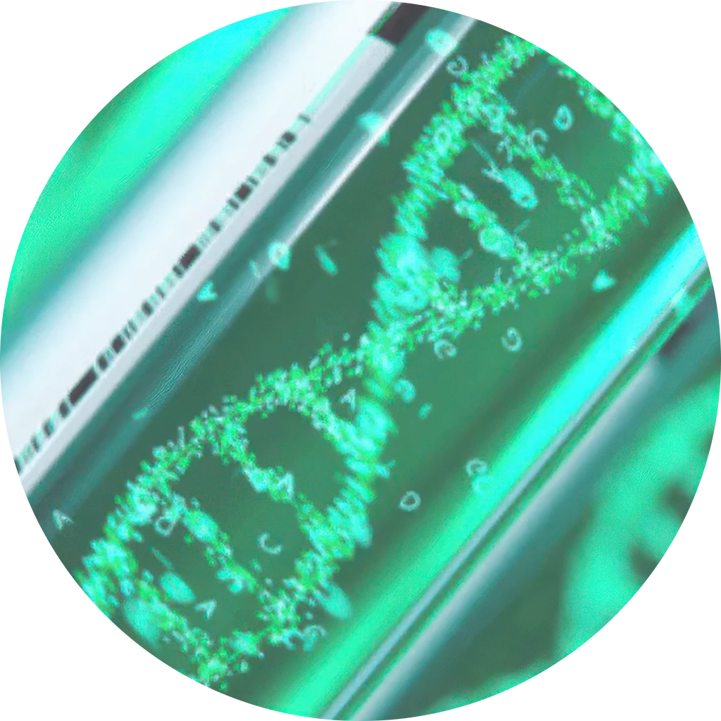 rejuran-02.webp